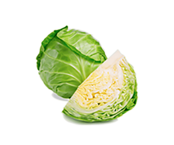 Green Cabbage